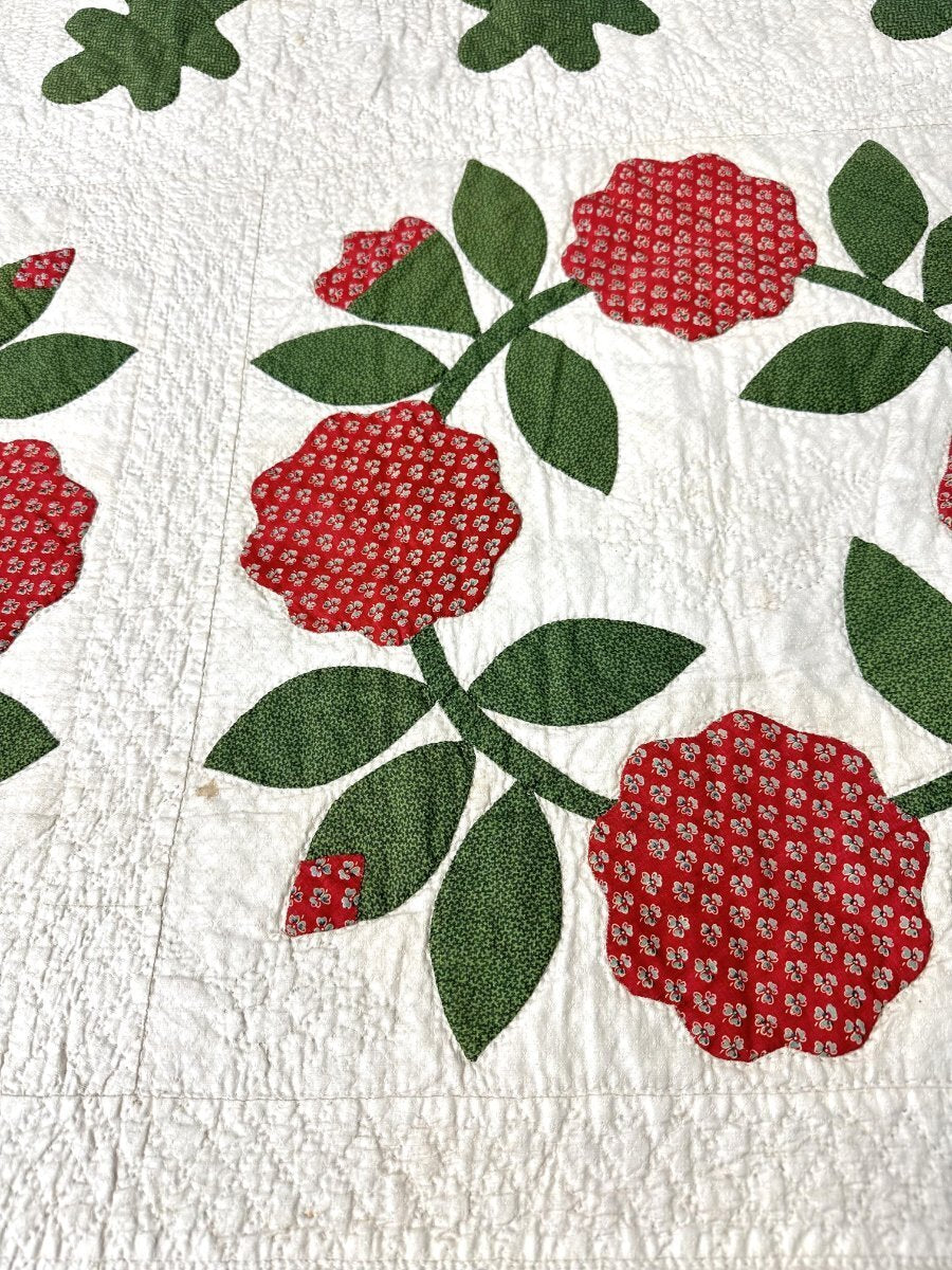 Important! c 1840-50s Album Wreath QUILT Applique Antique Red Green New Jersey