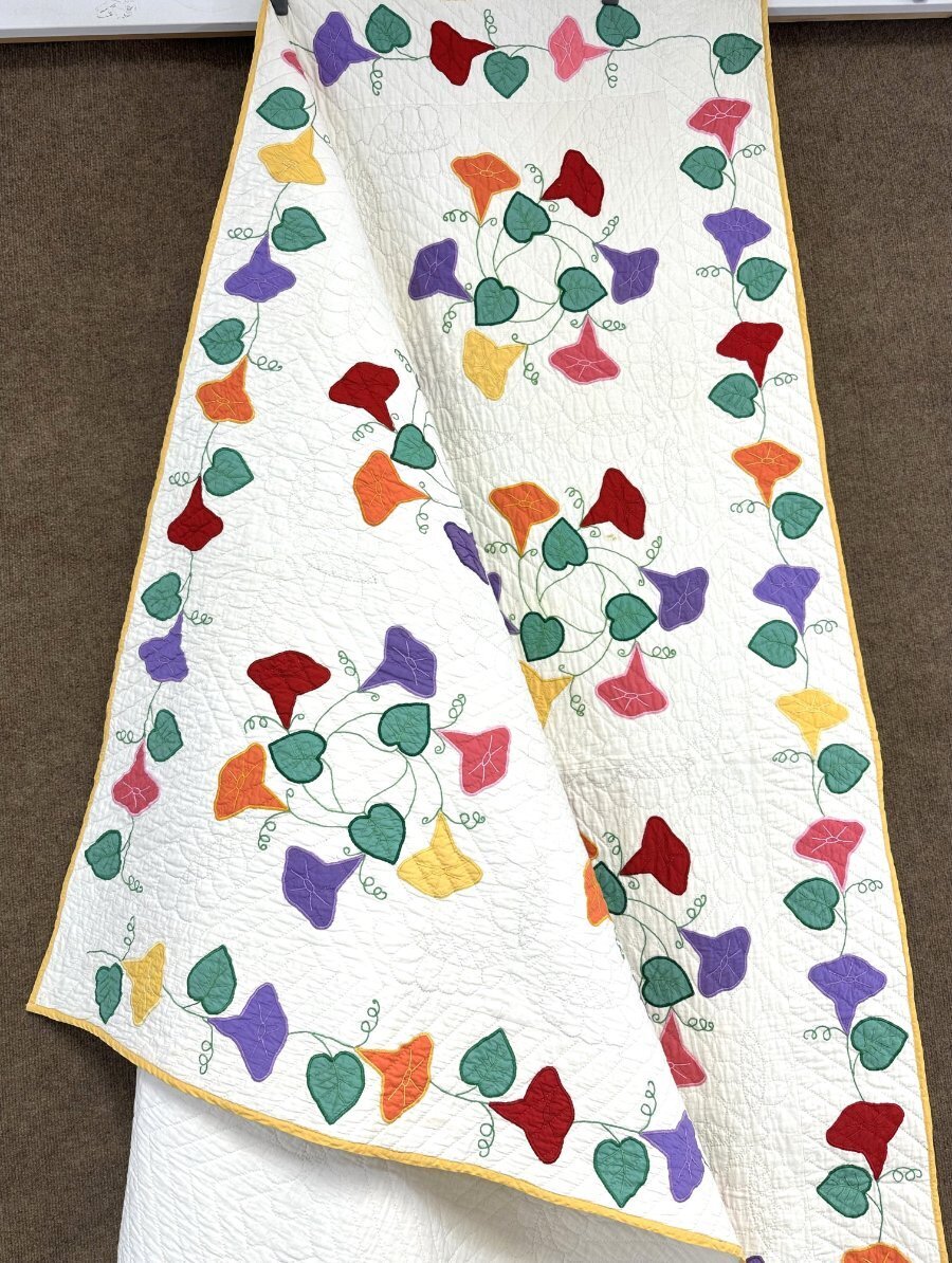 Show Stopper! c 1930s Morning Glory   APPLIQUE Vintage Quilt
