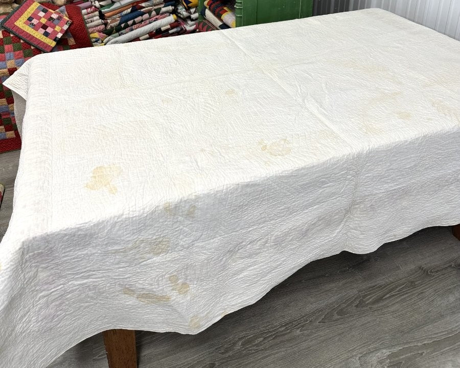Lush Quilting! c 1850-60s PA Princess Feather APPLIQUE Antique Quilt