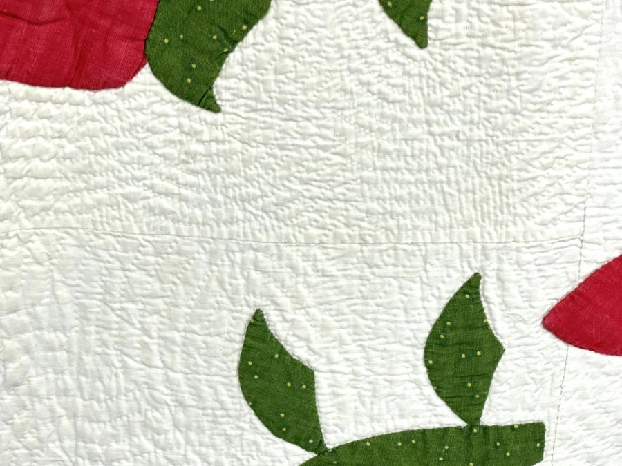 OUTSTANDING Quilting! c 1850s New York Beauty Rose QUILT Antique w/note History