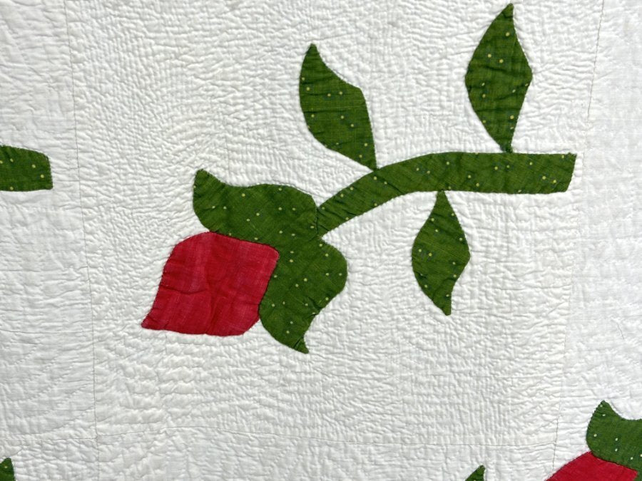 OUTSTANDING Quilting! c 1850s New York Beauty Rose QUILT Antique w/note History